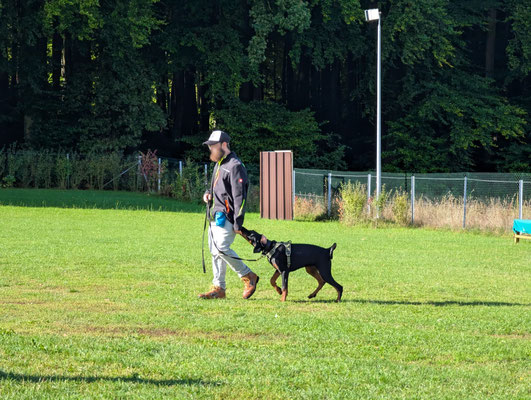 A-Léo Della Guardia Néra et Jack