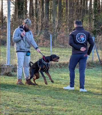 A-LÉO DELLA GUARDIA NERA - 9 MOIS