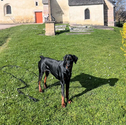 ALBA DELLA GUARDIA NERA