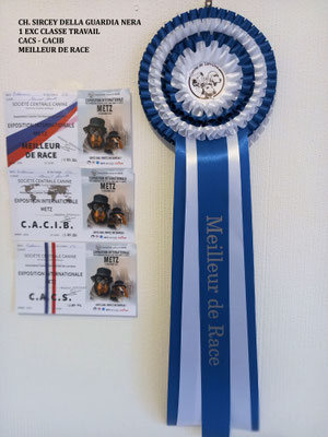 Récompense CACS CACIB MEILLEUR DE RACE