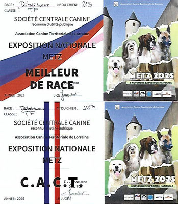 Cartons récompenses