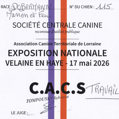 CACS-T