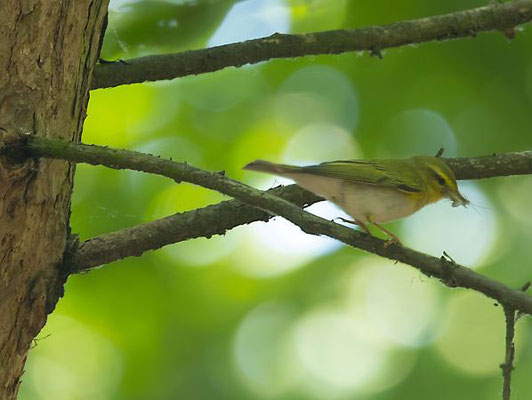 19.-25.06.2022 Uckermark