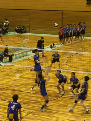 大会情報 埼玉栄排球部ｏｂ会