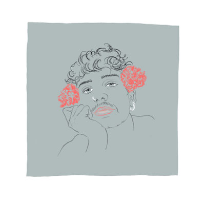 Carnations, IPad Drawing