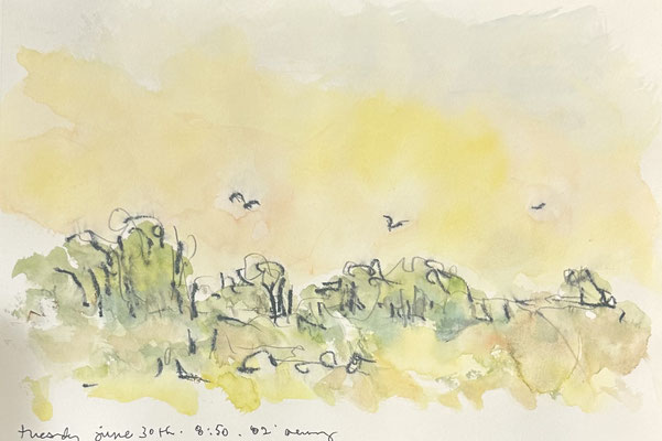 tue jun 30th 2026 9x12 gouache, crayon, pencil