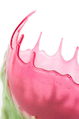 2021 - Guglielmo Maggini