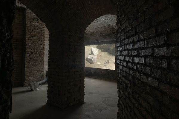 2024 Pupa - Grossi Maglioni - Supernova