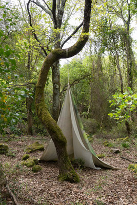 2025 Rural Visions - Agnese Polverini - Riserva Naturale Regionale Selva del Lamone