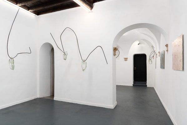 2024 Testa salpa - Marco Emmanuele - Operativa arte contemporanea