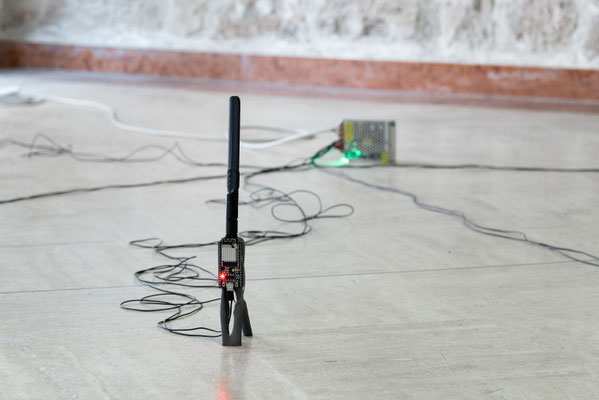 2025 Last Seen - Dario Cappello - Frida Art Gallery