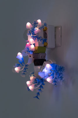 2025 Il più vicino e il più lontano, il più chiaro e il più scuro - Trevor Yeung - Galleria T293