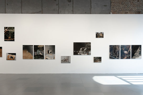 2024 Nuove Avventure Sotterranee - Domingo Milella, Stefano Graziani, Rachele Maistrello, Giulia Parlato e Luca Nostri - MAXXI