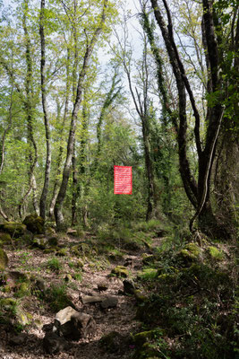 2025 Rural Visions - Luca Marcelli Pitzalis - Riserva Naturale Regionale Selva del Lamone