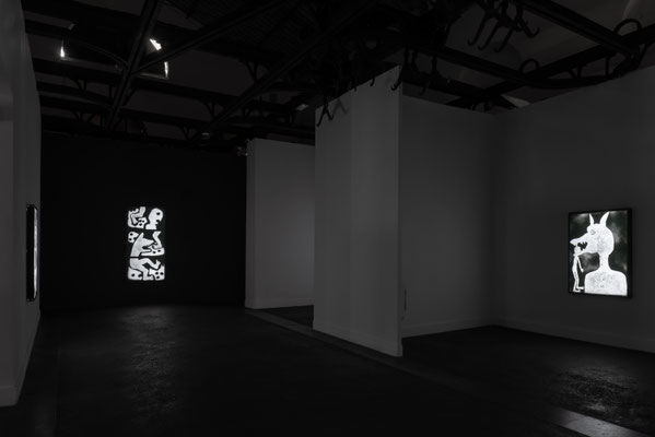 2025 ANIMALISM - Roger Ballen - Mattatoio