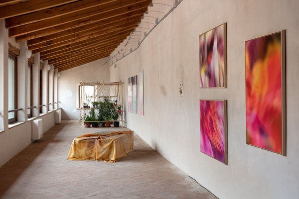 2021 - Windows a cura di Teodora di Robilant - Chiostro di San Nicolò, Spoleto