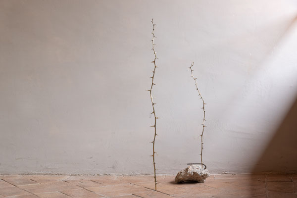 2021 - Baldassarre Mario - Windows a cura di Teodora di Robilant - Chiostro di San Nicolò, Spoleto