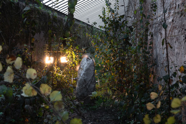 2024 Fly Down - Dario Capello - Casale dei Cedrati