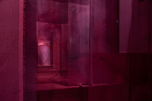 2020 - Renata Rampazzi - Cruor - Museo Bilotti