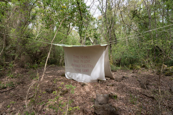 2025 Rural Visions - Agnese Polverini - Riserva Naturale Regionale Selva del Lamone