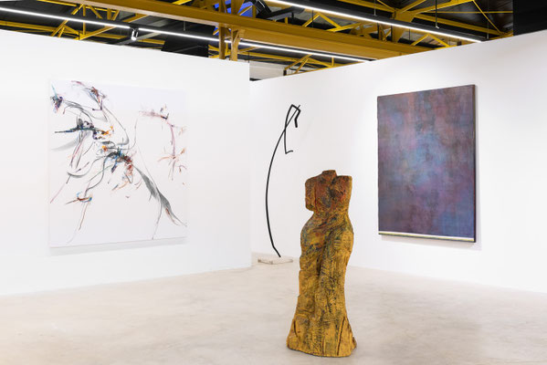 2024 Fondazione D'ARC