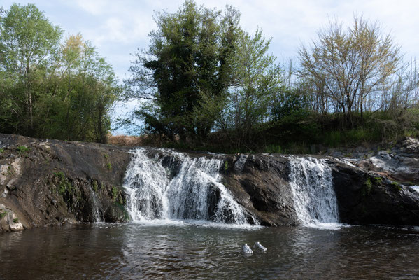2025 Rural Visions - Jacopo Rinaldi - Riserva Naturale Regionale Selva del Lamone