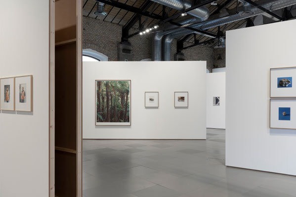 2024 Nuove Avventure Sotterranee - Domingo Milella, Stefano Graziani, Rachele Maistrello, Giulia Parlato e Luca Nostri - MAXXI