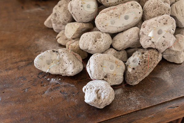 2021 - Palazzo Collicola - José Angelino