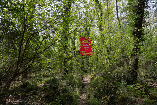 2025 Rural Visions - Luca Marcelli Pitzalis - Riserva Naturale Regionale Selva del Lamone