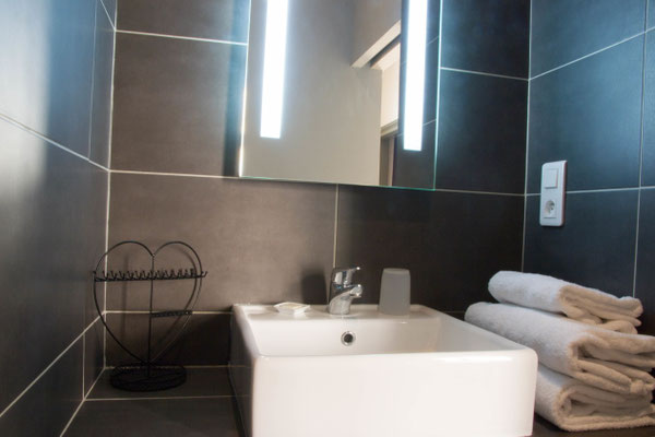Services hoteliers : serviettes de bain, gel douche et shampoing fournis