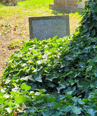 Grab von Florian Berndl am Wr. Zentralfriedhof