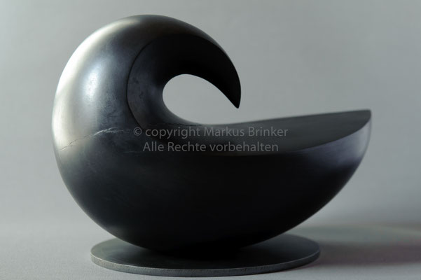 Schwarze Taube