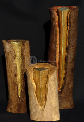 Lichtsäulen, Esche, Birne und Eukalyptus