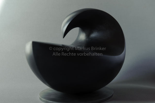 Schwarze Taube