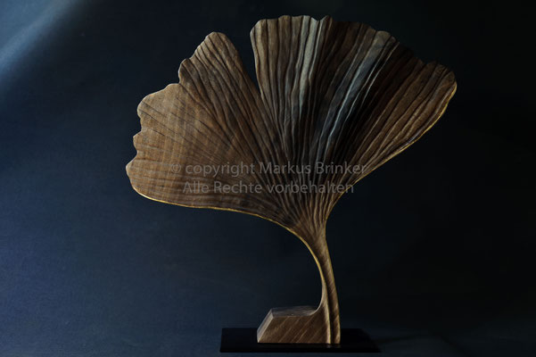 Ginkgo