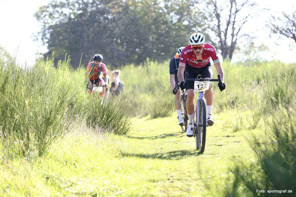 Gravel-DM Daun