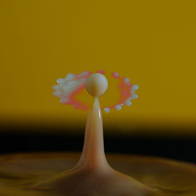 Jean-Charles Lecoultre, Goutte de lait, iso 100, ouverture F8, au 1/100 de seconde; Canon 5D mark IV, objectif 100 macro 2.8 et le pluto TRIGGLER