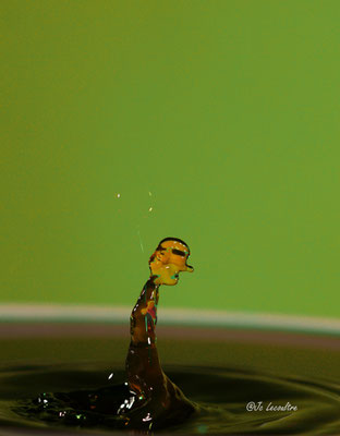 Jean-Charles Lecoultre, Goutte d’eau,  iso 100, ouverture F8, au 1/100 de seconde; Canon 5D mark IV, objectif 100 macro 2.8 et le pluto TRIGGLER