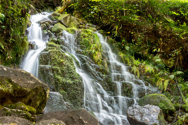Serge Murschel, Pose Longue-La petite cascade du saut du bouchot-Massif des Vosges