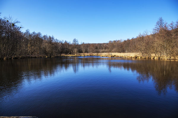 Etang de la petite Ramée