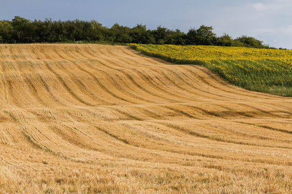 Martine Docquin, Pour surfer en tracteur