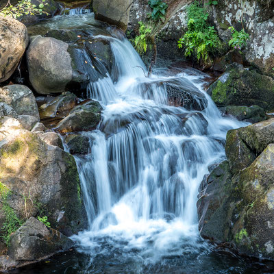 Nature-cascade- pose longue