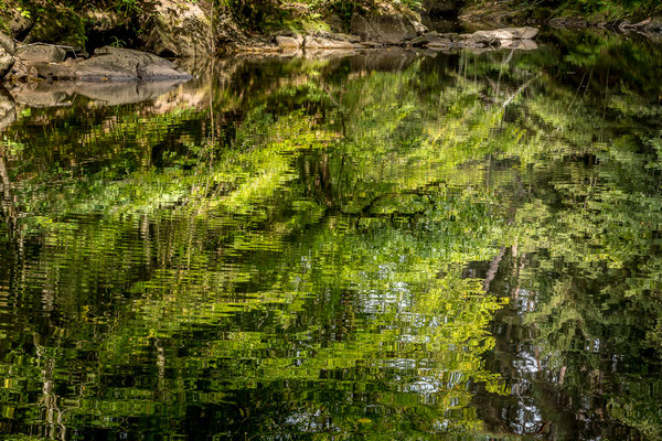 Cathy Murschel, Paysage-Reflets, Gorges de Crosery, Vosges