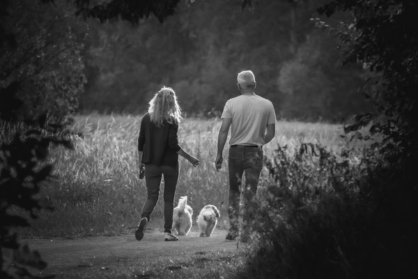 Sené Dominique, Promenade vespérale (1/400 sec - F/7,1 - ISO 1600 - 270mm)