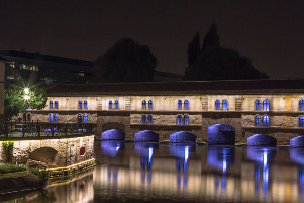 Martine Docquin, A Strasbourg