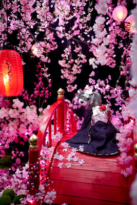 『夜桜🌸』