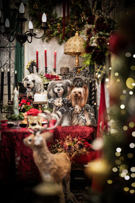 『Holy night』