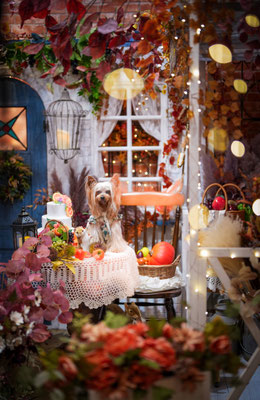 『Harvest Festival』