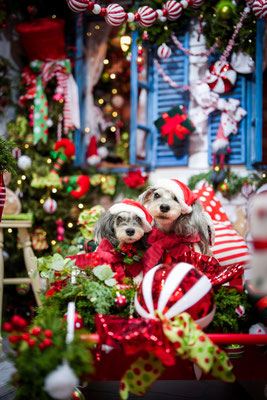 『Candy Pop Christmas』