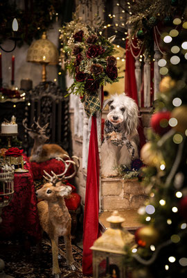 『Holy night』